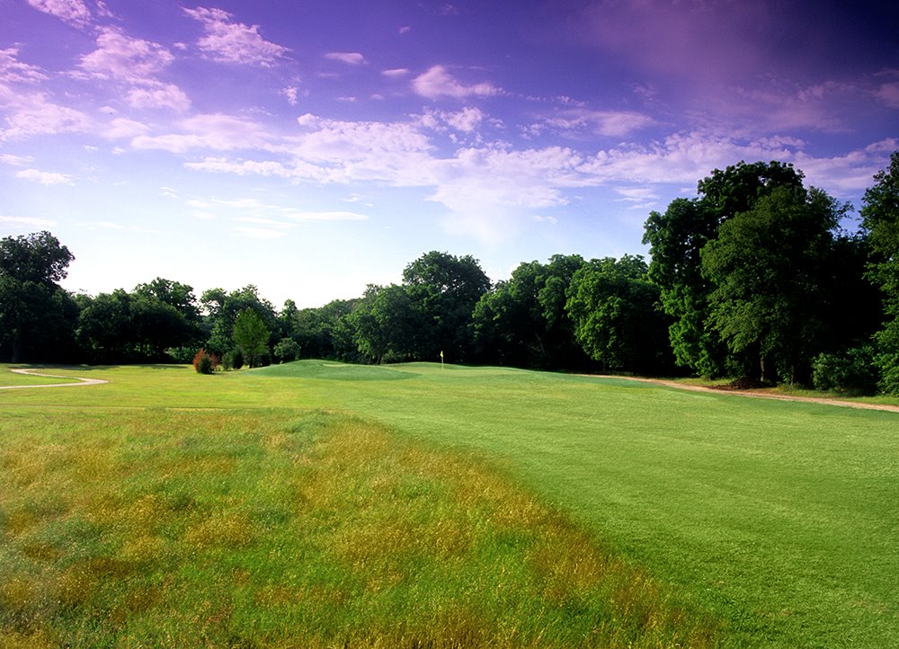 Golf course lined with trees on fairway