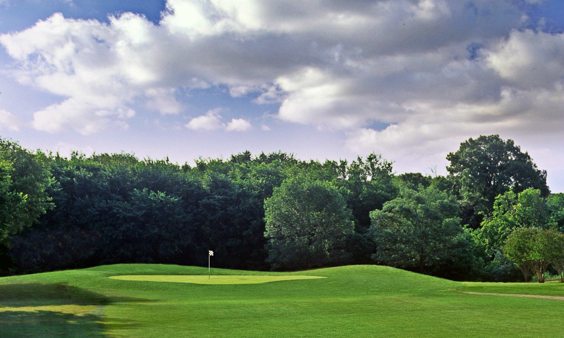 Image of golf ball on tee on grass.